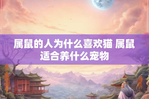 属鼠的人为什么喜欢猫 属鼠适合养什么宠物