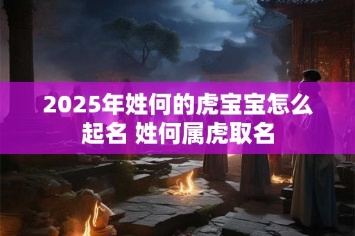 2025年姓何的虎宝宝怎么起名 姓何属虎取名