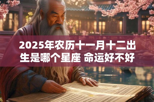 2025年农历十一月十二出生是哪个星座 命运好不好