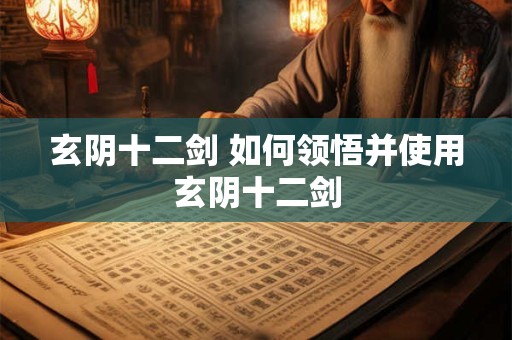 玄阴十二剑 如何领悟并使用玄阴十二剑