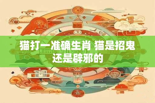 猫打一准确生肖 猫是招鬼还是辟邪的