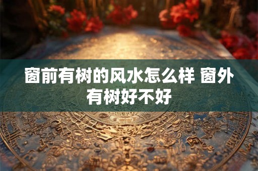 窗前有树的风水怎么样 窗外有树好不好