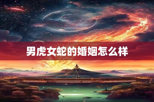 男虎女蛇的婚姻怎么样