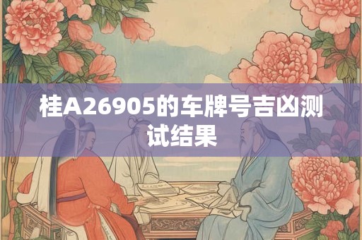桂A26905的车牌号吉凶测试结果