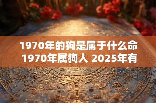 1970年的狗是属于什么命 1970年属狗人 2025年有一灾