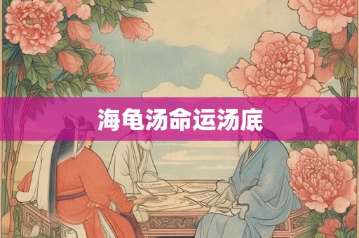 海龟汤命运汤底