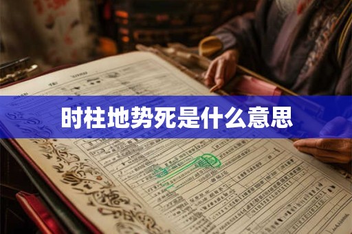 时柱地势死是什么意思