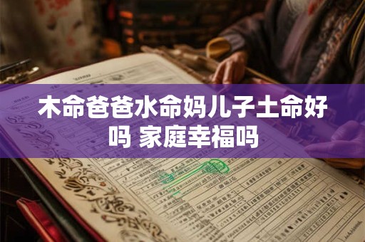 木命爸爸水命妈儿子土命好吗 家庭幸福吗