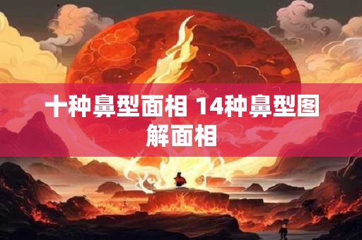 十种鼻型面相 14种鼻型图解面相 十种鼻型面相 14种鼻型图解面相