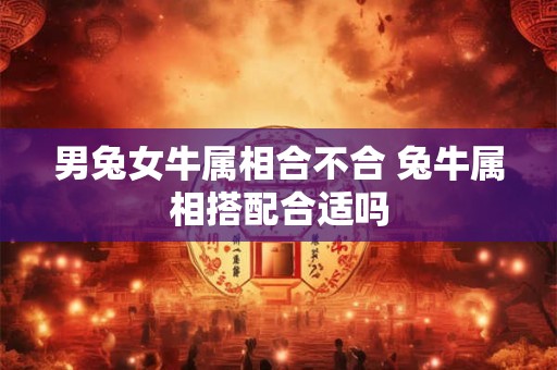 男兔女牛属相合不合 兔牛属相搭配合适吗