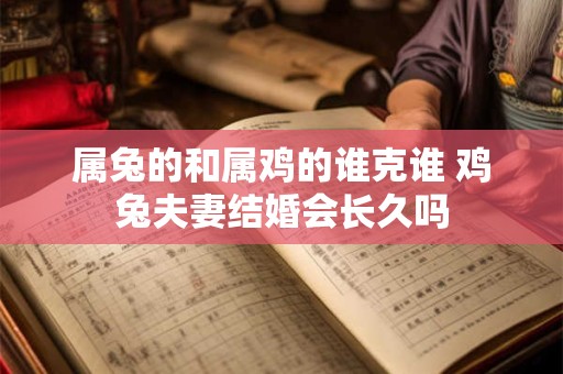 属兔的和属鸡的谁克谁 鸡兔夫妻结婚会长久吗