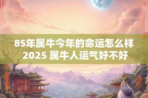 85年属牛今年的命运怎么样 2025 属牛人运气好不好