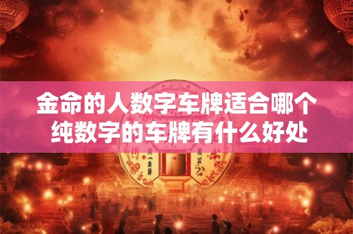 金命的人数字车牌适合哪个 纯数字的车牌有什么好处