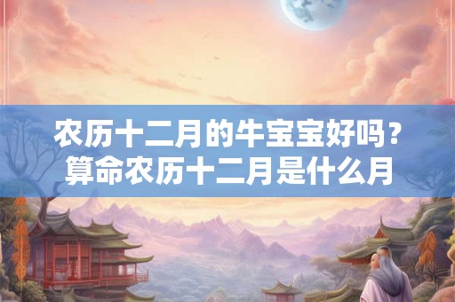 农历十二月的牛宝宝好吗？算命农历十二月是什么月
