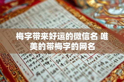 梅字带来好运的微信名 唯美的带梅字的网名