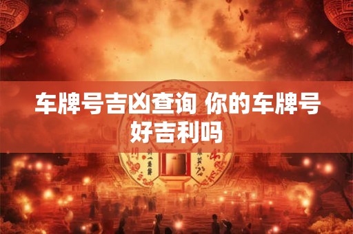 车牌号吉凶查询 你的车牌号好吉利吗