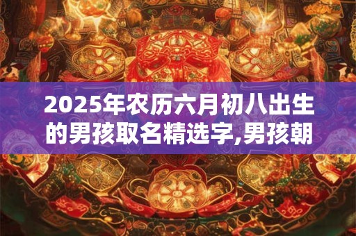 2026年农历六月初八出生的男孩取名精选字,男孩朝气蓬勃的名字