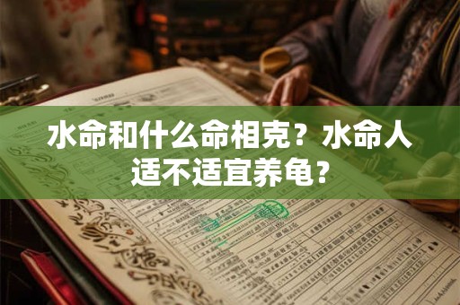 水命和什么命相克？水命人适不适宜养龟？
