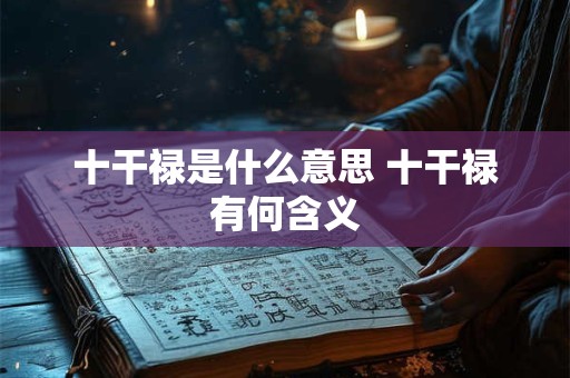 十干禄是什么意思 十干禄有何含义