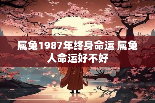 属兔1987年终身命运 属兔人命运好不好