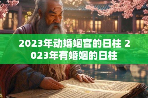 2023年动婚姻宫的日柱 2023年有婚姻的日柱