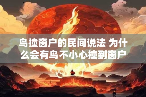 鸟撞窗户的民间说法 为什么会有鸟不小心撞到窗户
