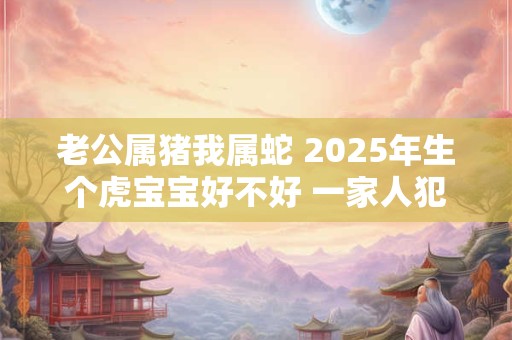 老公属猪我属蛇 2025年生个虎宝宝好不好 一家人犯冲不