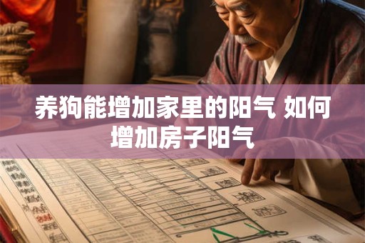 养狗能增加家里的阳气 如何增加房子阳气