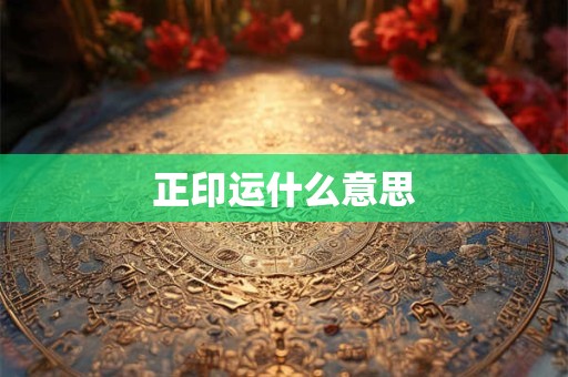 正印运什么意思