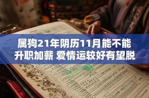 属狗21年阴历11月能不能升职加薪 爱情运较好有望脱单