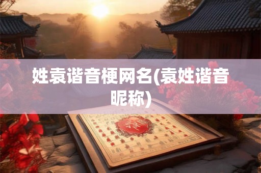 姓袁谐音梗网名(袁姓谐音昵称)