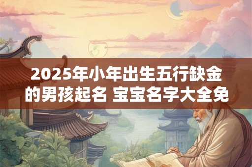 2026年小年出生五行缺金的男孩起名 宝宝名字大全免费
