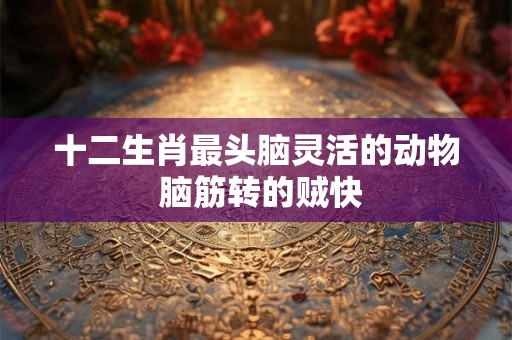 十二生肖最头脑灵活的动物 脑筋转的贼快