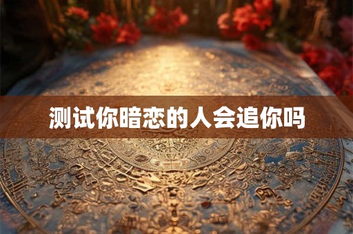 测试你暗恋的人会追你吗