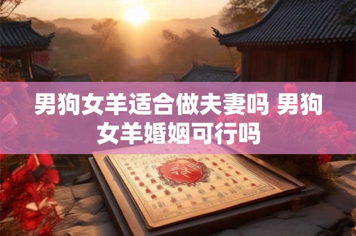 男狗女羊适合做夫妻吗 男狗女羊婚姻可行吗