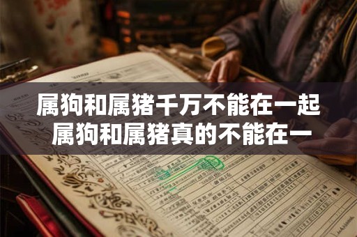 属狗和属猪千万不能在一起 属狗和属猪真的不能在一起吗