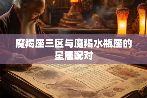 魔羯座三区与魔羯水瓶座的星座配对