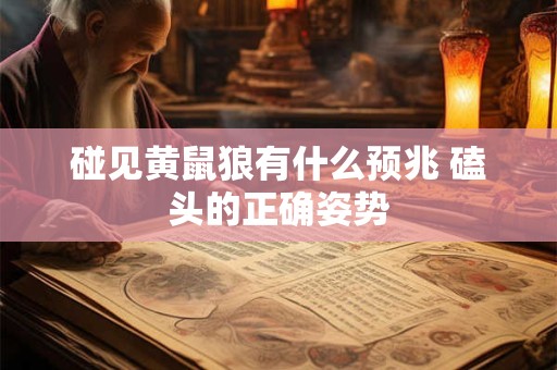 碰见黄鼠狼有什么预兆 磕头的正确姿势