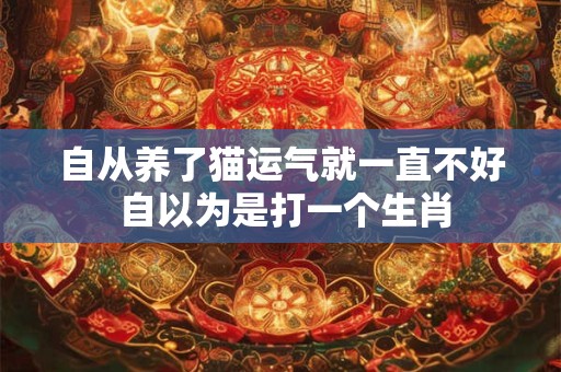 自从养了猫运气就一直不好 自以为是打一个生肖