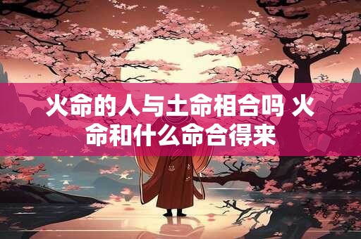 火命的人与土命相合吗 火命和什么命合得来