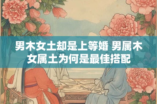 男木女土却是上等婚 男属木女属土为何是最佳搭配