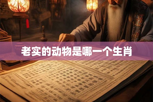 老实的动物是哪一个生肖