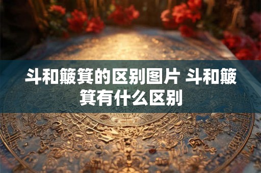 斗和簸箕的区别图片 斗和簸箕有什么区别