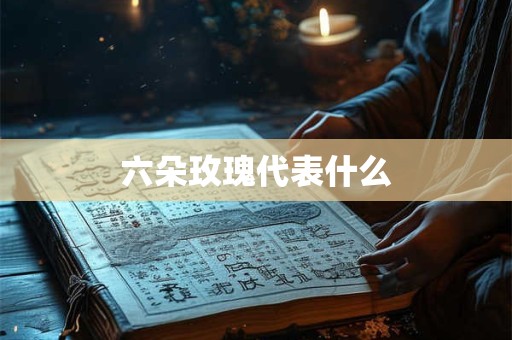 六朵玫瑰代表什么
