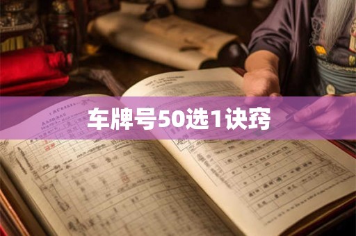 车牌号50选1诀窍