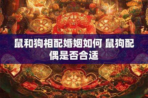 鼠和狗相配婚姻如何 鼠狗配偶是否合适