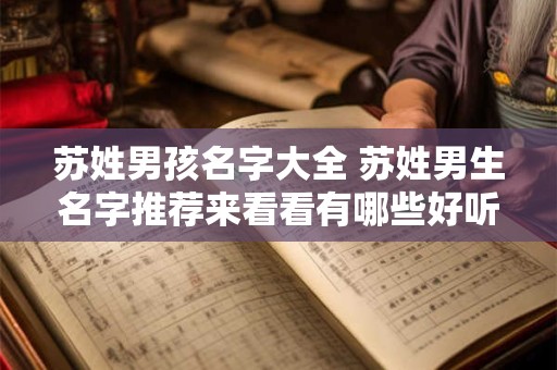 苏姓男孩名字大全 苏姓男生名字推荐来看看有哪些好听的