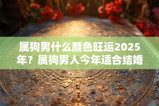 属狗男什么颜色旺运2025年？属狗男人今年适合结婚吗