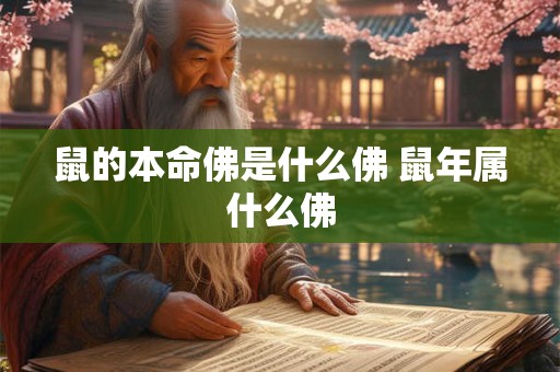 鼠的本命佛是什么佛 鼠年属什么佛