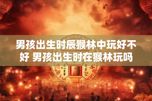 男孩出生时辰猴林中玩好不好 男孩出生时在猴林玩吗